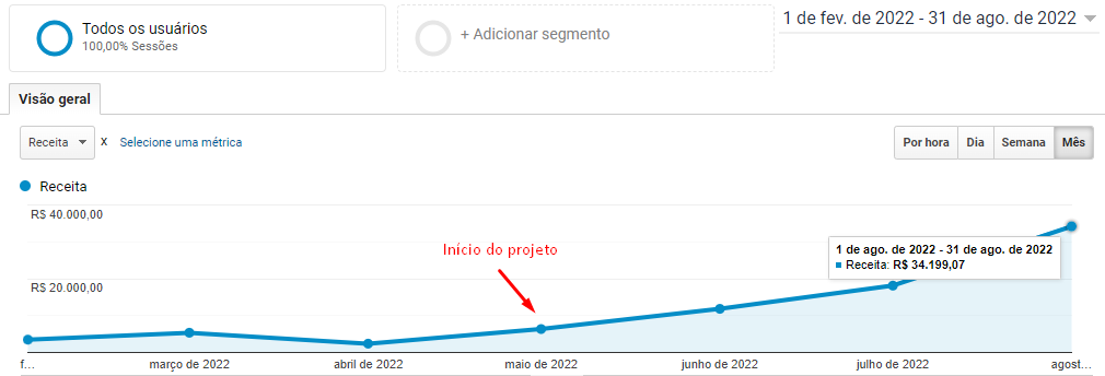 Projeto faturava em torno de R$2.000,00. No entanto, ao iniciarmos no meio de Maio, começamos a alavancar o faturamento da Loja virtual, alcançando R$34.199,07 de faturamento ao final do mês de Agosto com R$4.000,00 investidos.